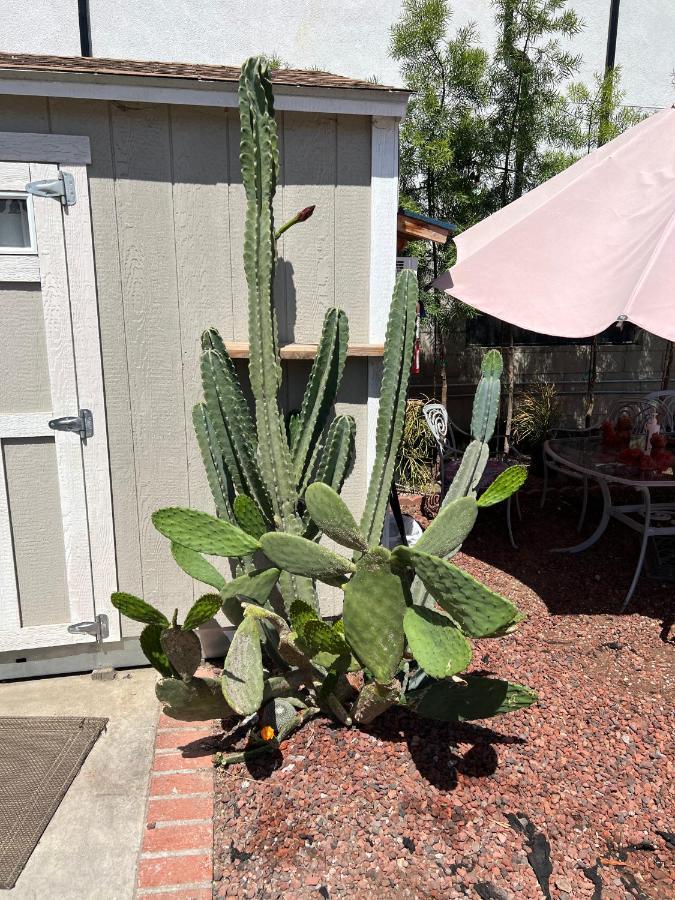 Private Los Angeles Room - Free Wifi, Ac, Tv, Private Fridge, Kitchen, Near Usc - Exposition Park - Usc Memorial Coliseum - Banc Of California Bmo Stadium - Downtown Los Angeles Dtla - University Of Southern California Usc!!! Esterno foto